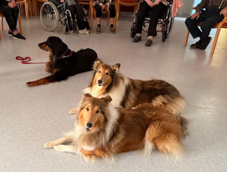 Besuch im Altersheim