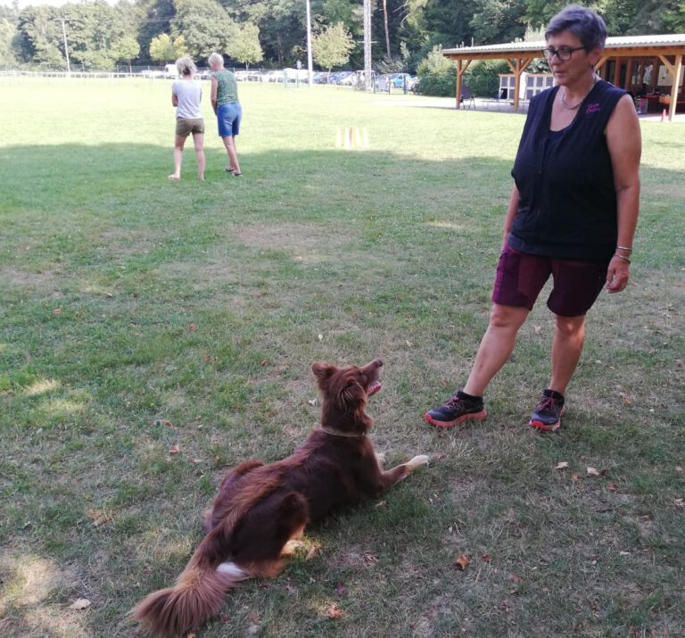 Obedience Seminar im August 2025