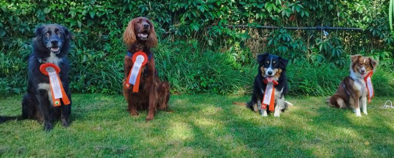 Rally Obedience Turnier