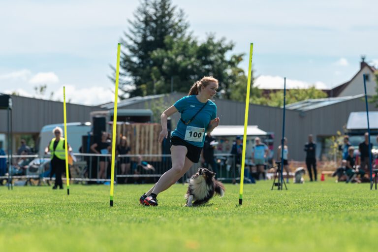 Teilnahme an der dhv Deutschen Meisterschaft im Turnierhundesport im September