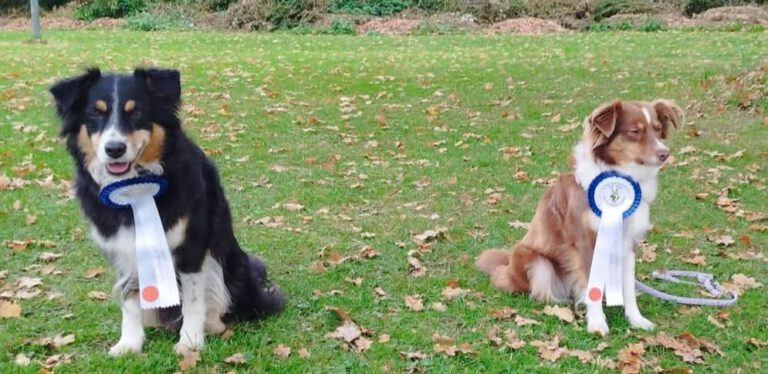 Rally Obedience 2x 1. Platz