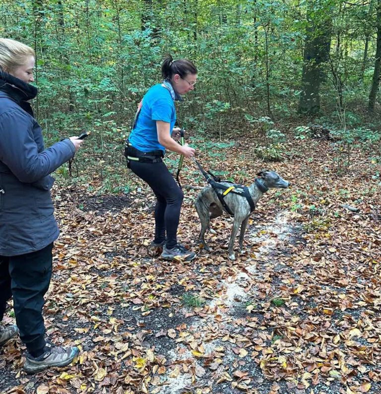 THS Turnier 19.10.2025