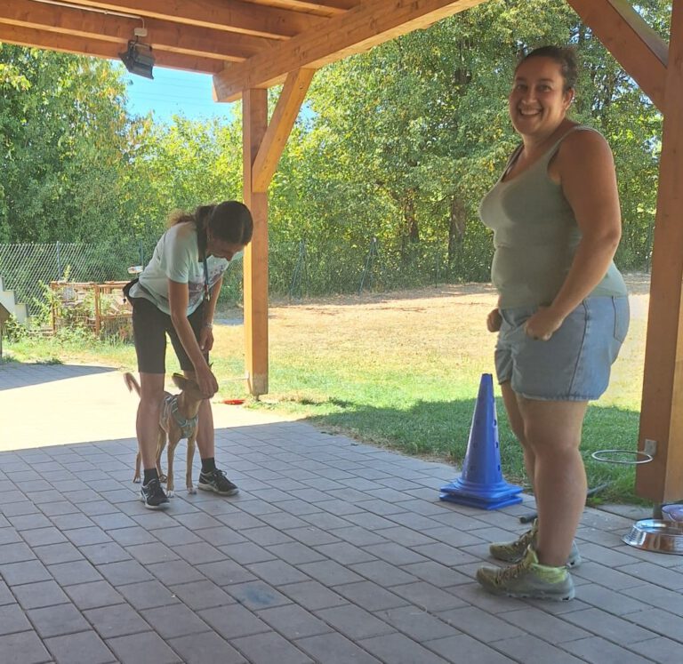 Dog Dance Trainingstag beim VdH