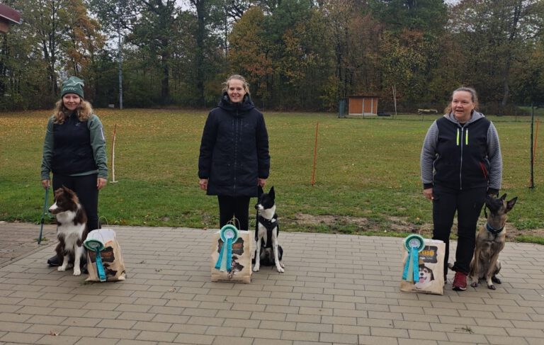 Kombiprüfung: Obedience und Begleithundeprüfung am 10.10.2026